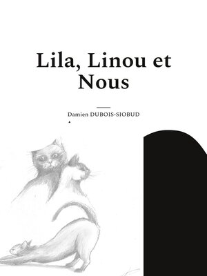 cover image of Lila, Linou et Nous